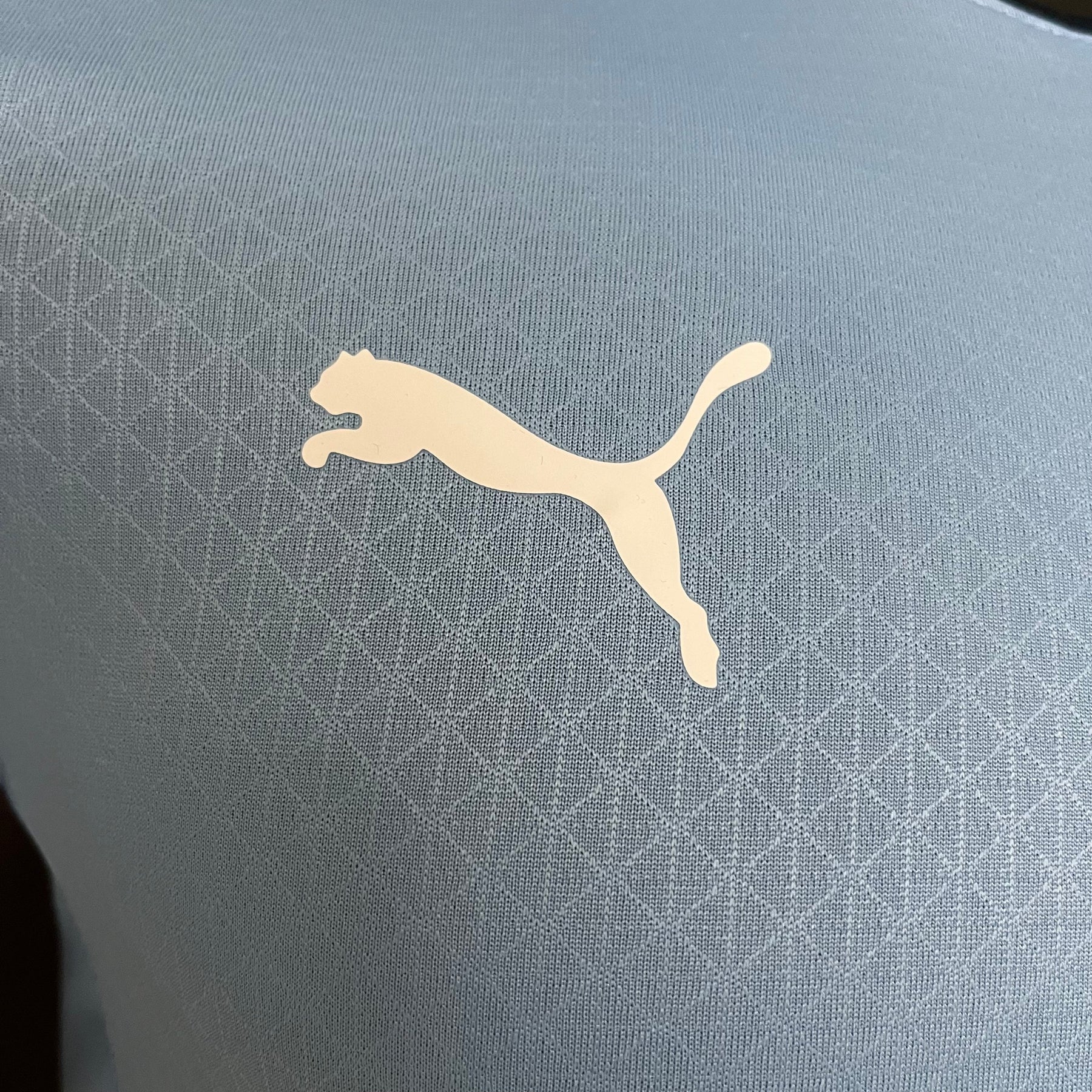 CAMISA MANCHESTER CITY VERSÃO JOGADOR HOME 24/25