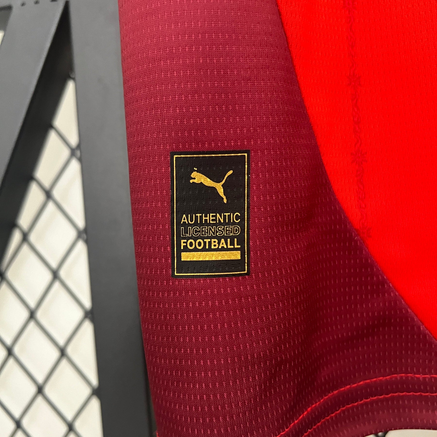 CAMISA SUIÇA HOME 24/25