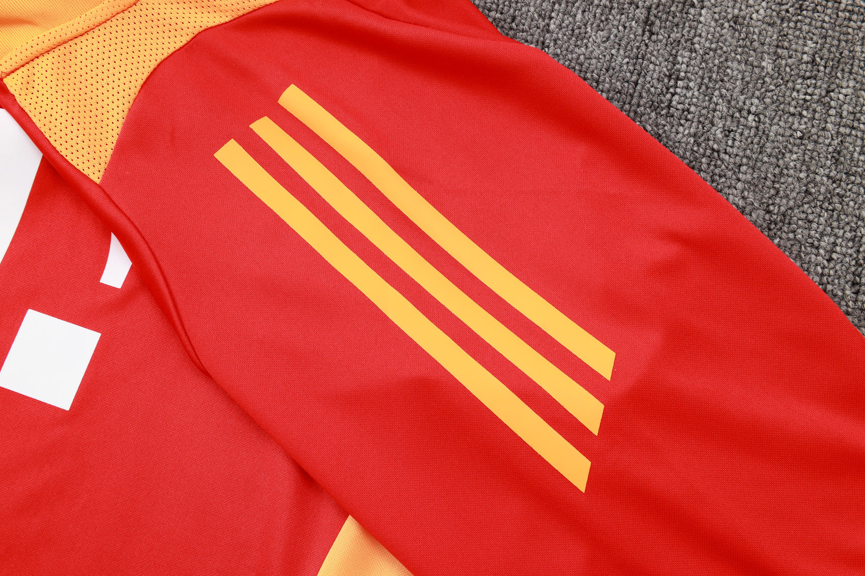 CONJUNTO DE TREINO BAYERN DE MUNICH B927 24/25