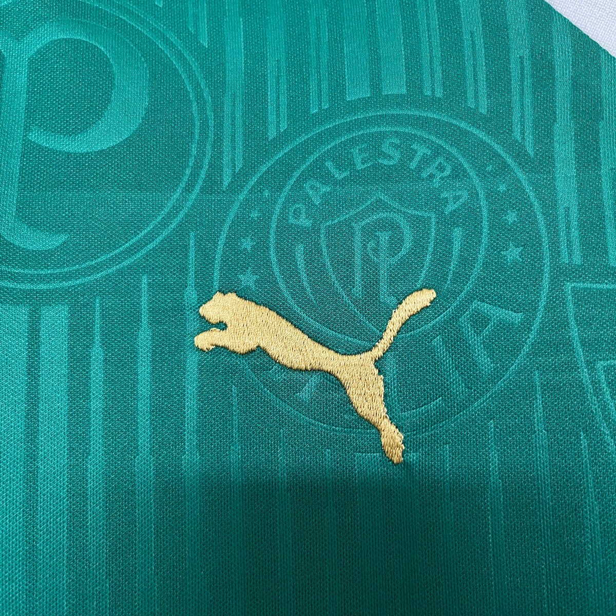 KIT INFANTIL PALMEIRAS HOME 24/25