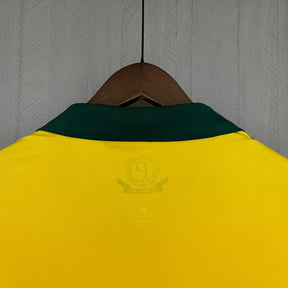 CAMISA RETRÔ PALMEIRAS EDIÇÃO ESPECIAL 2013