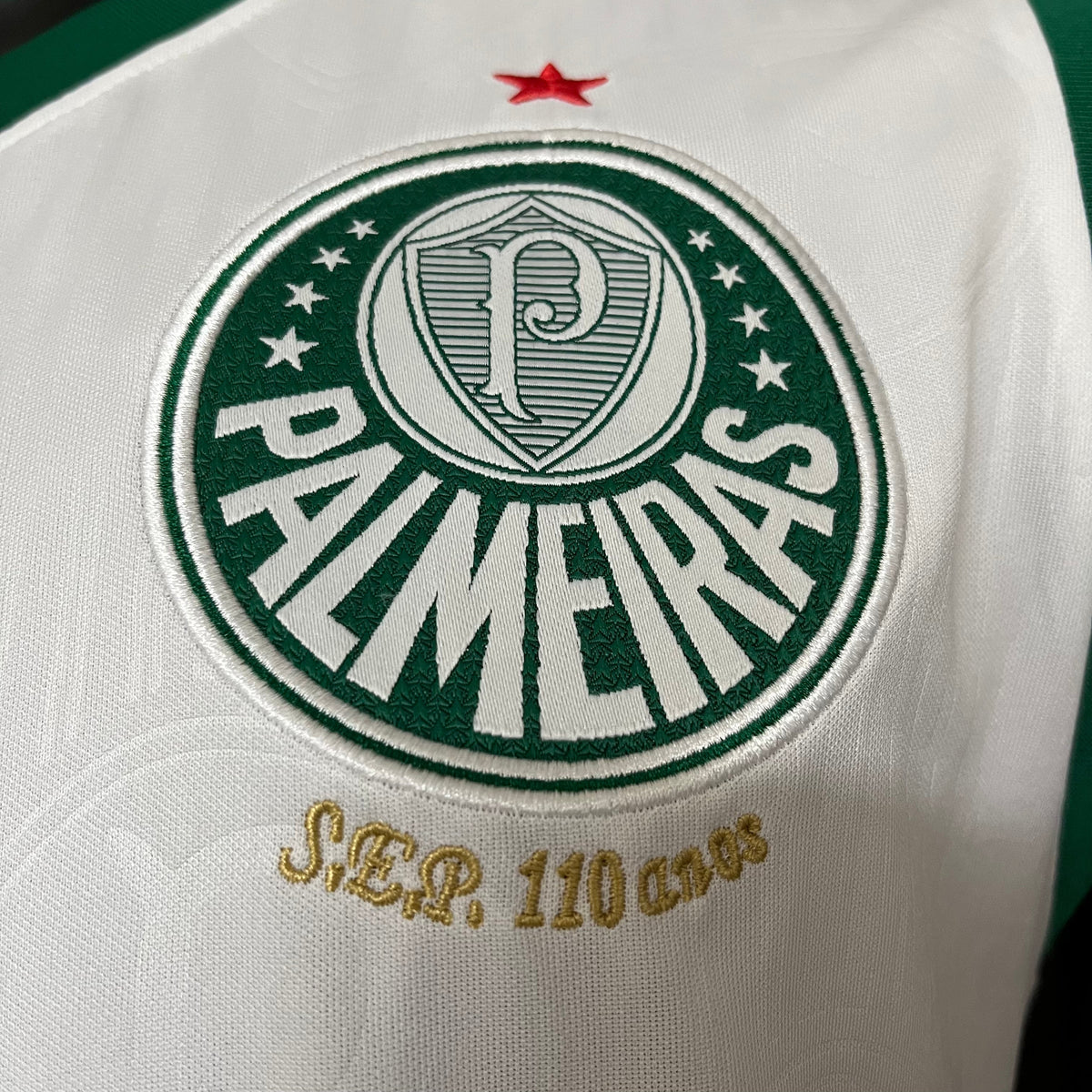 CAMISETA PALMEIRAS AWAY 24/25