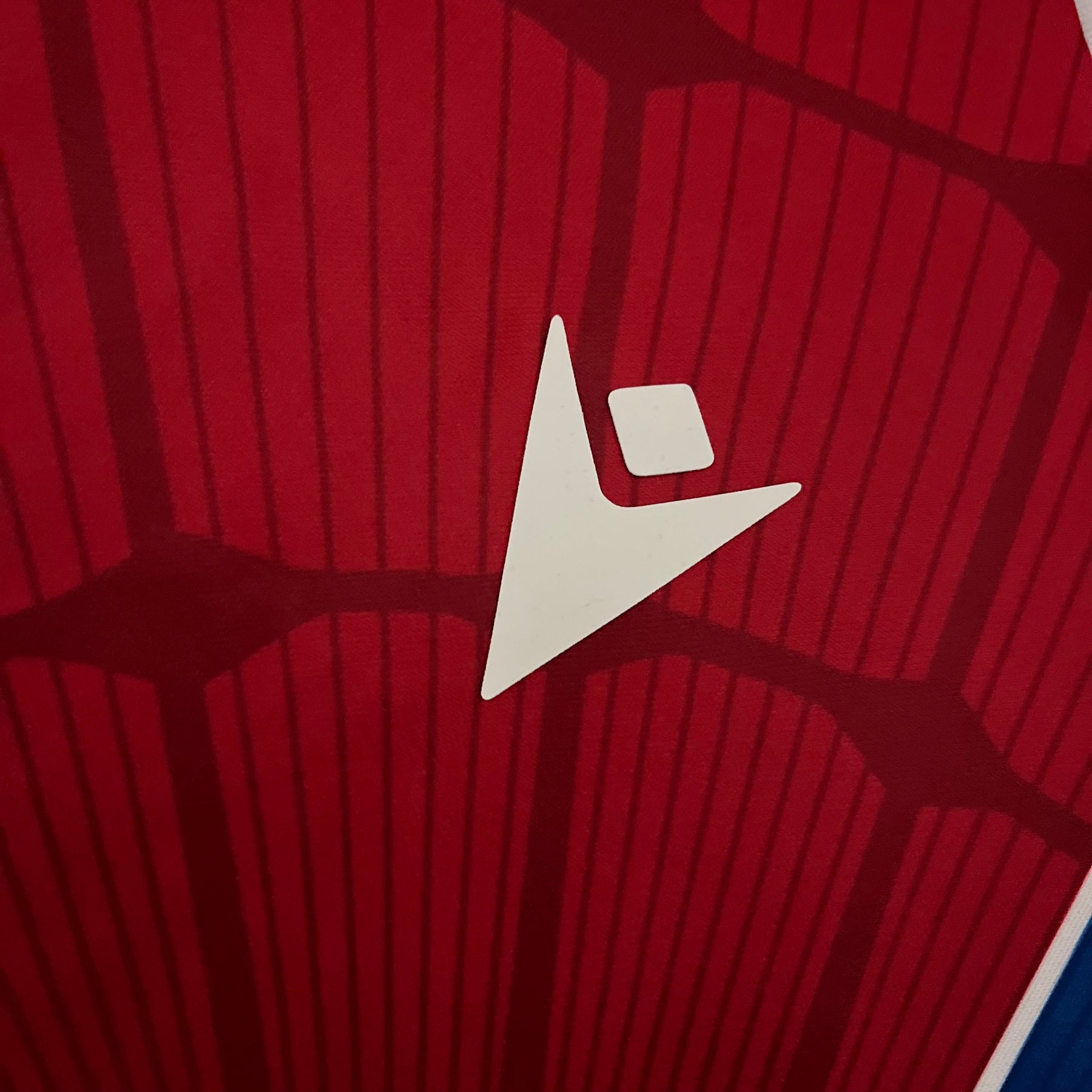 CAMISA CRYSTAL PALACE HOME 23/24