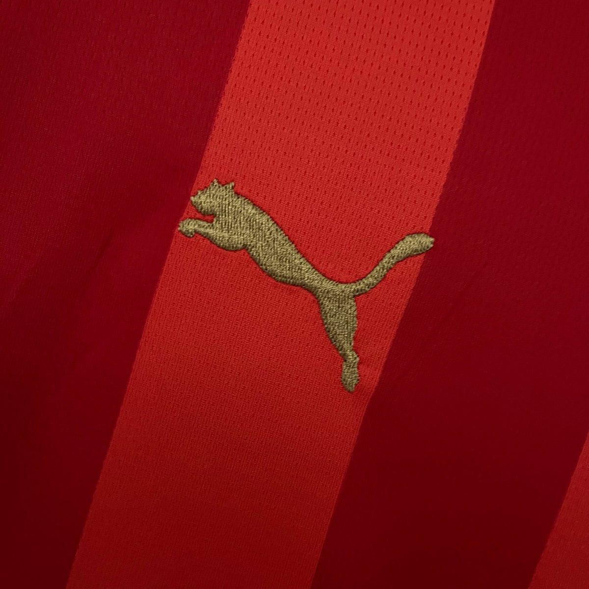 CAMISA PSV HOME 23/24