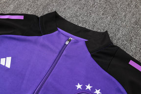 CONJUNTO DE TREINO ALEMANHA PURPLE 24/25