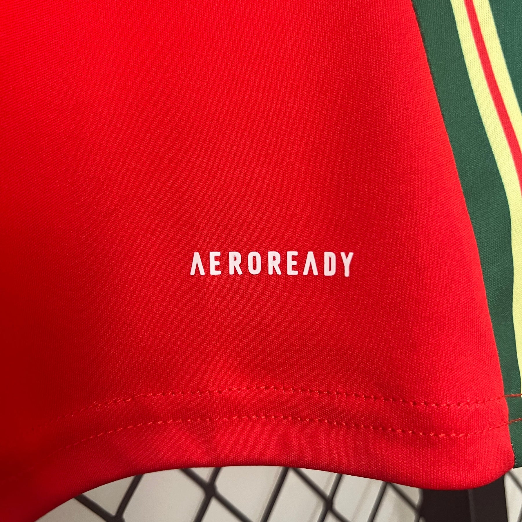 CAMISA PAÍS DE GALÊS HOME 24/25