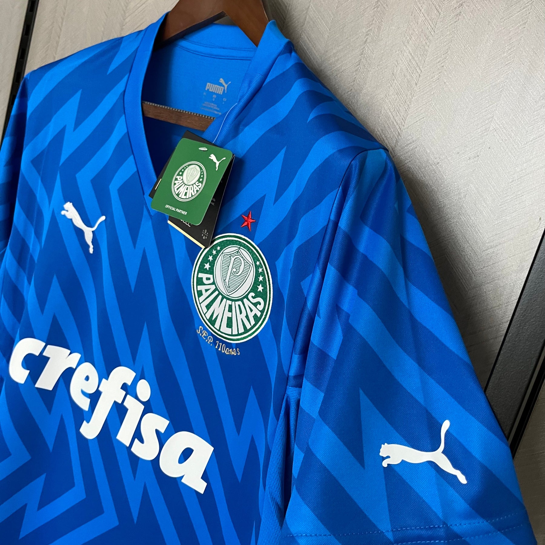 CAMISA PALMEIRAS GOLEIRO AZUL 24/25
