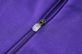 CONJUNTO DE TREINO ALEMANHA PURPLE 24/25