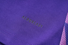 CONJUNTO DE TREINO ALEMANHA PURPLE 24/25