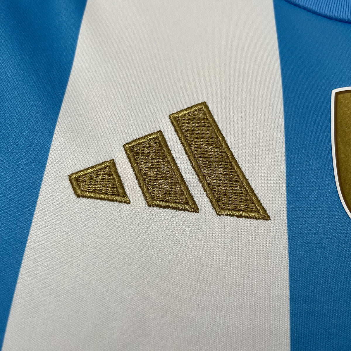 CAMISA ARGENTINA HOME 24/25