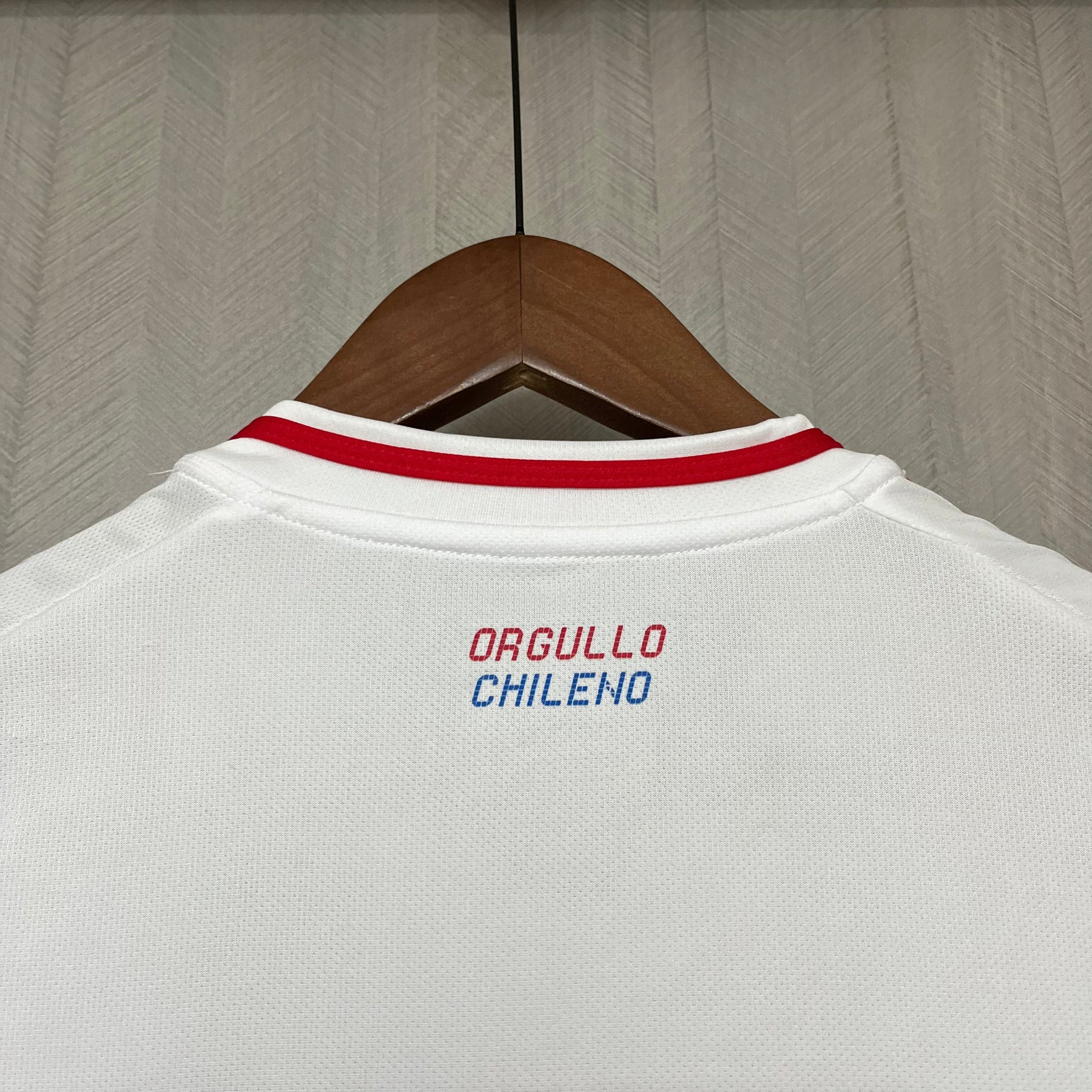 CAMISA CHILE AWAY 24/25
