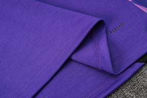 CONJUNTO DE TREINO ALEMANHA PURPLE 24/25