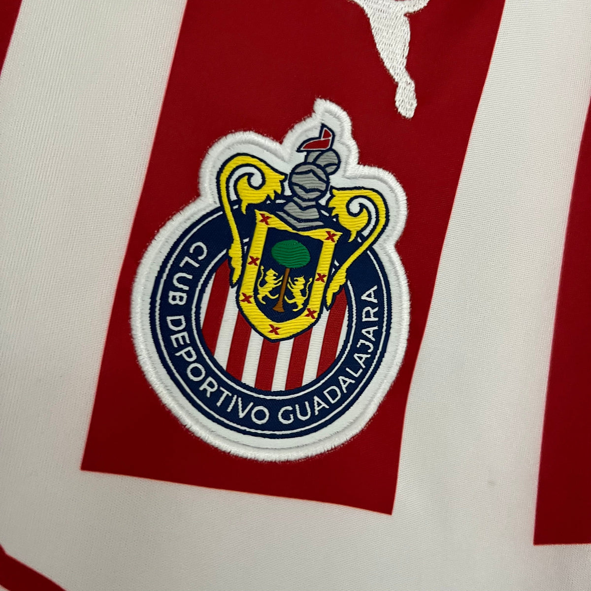 CAMISA CHIVAS DO MÉXICO HOME 23/24