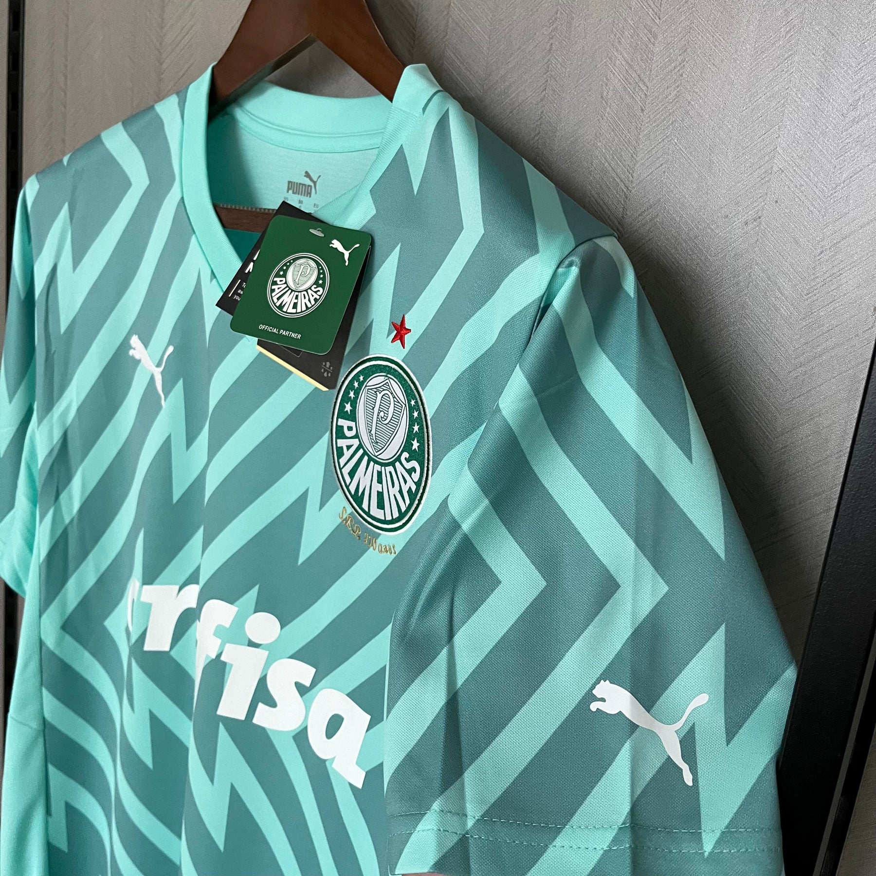 CAMISA PALMEIRAS GOLEIRO VERDE 24/25