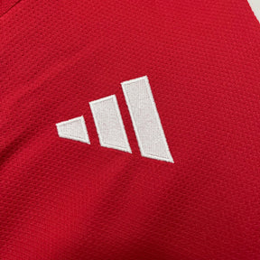 CAMISA MANGA LONGA INTERNACIONAL HOME 25/26