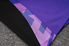 CONJUNTO DE TREINO ALEMANHA PURPLE 24/25