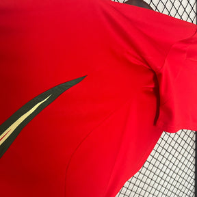 CAMISA PAÍS DE GALÊS HOME 24/25