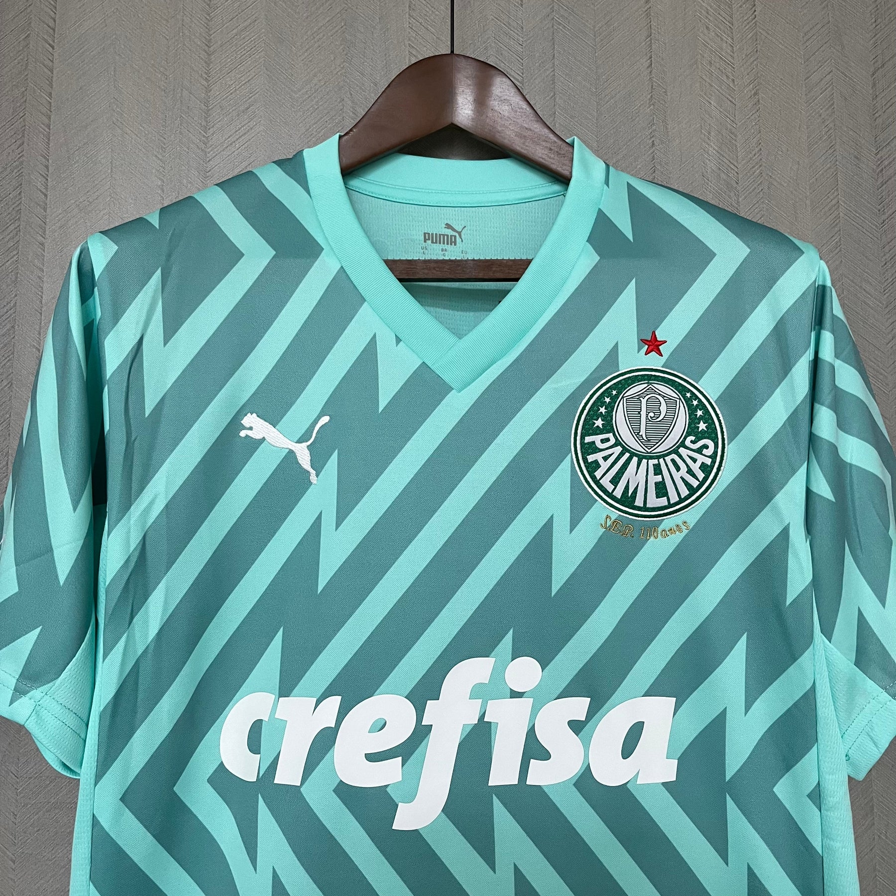 CAMISA PALMEIRAS GOLEIRO VERDE 24/25